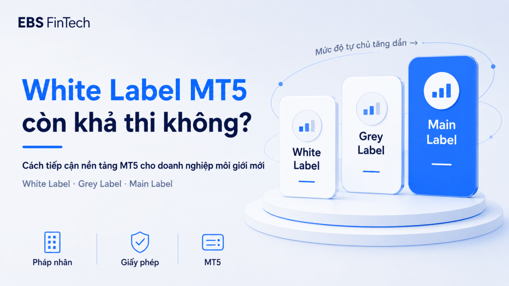 Sơ đồ so sánh White Label, Grey Label và Main Label khi tiếp cận nền tảng MT5